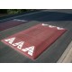 Coussin berlinois