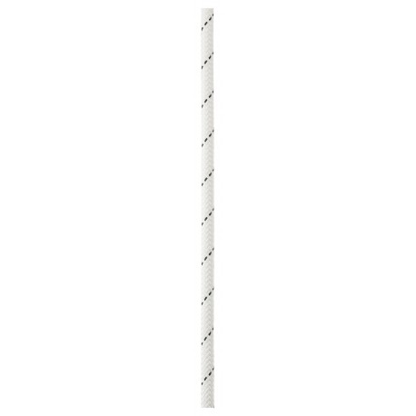 SEGMENT 8,0 mm