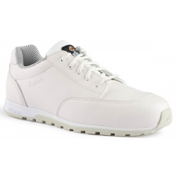 ELENA S3 SRC