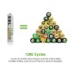 EBL 16pcs Piles AA Rechargeables 2800mAh Ni-MH avec Boîte de Stockage